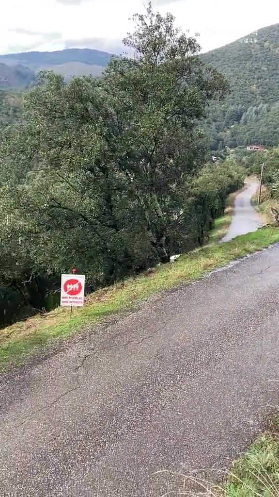 这个漂移你给打几分