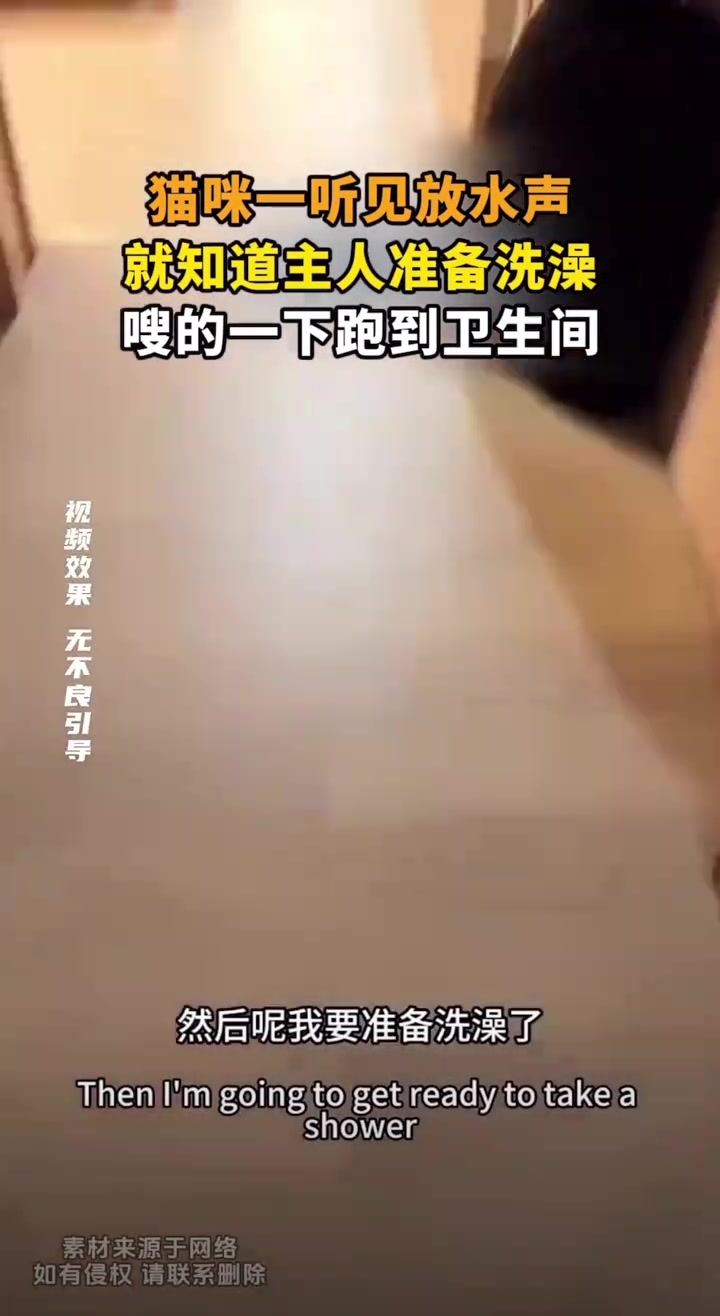 猫咪一听见放水声，就知道主人准备洗澡