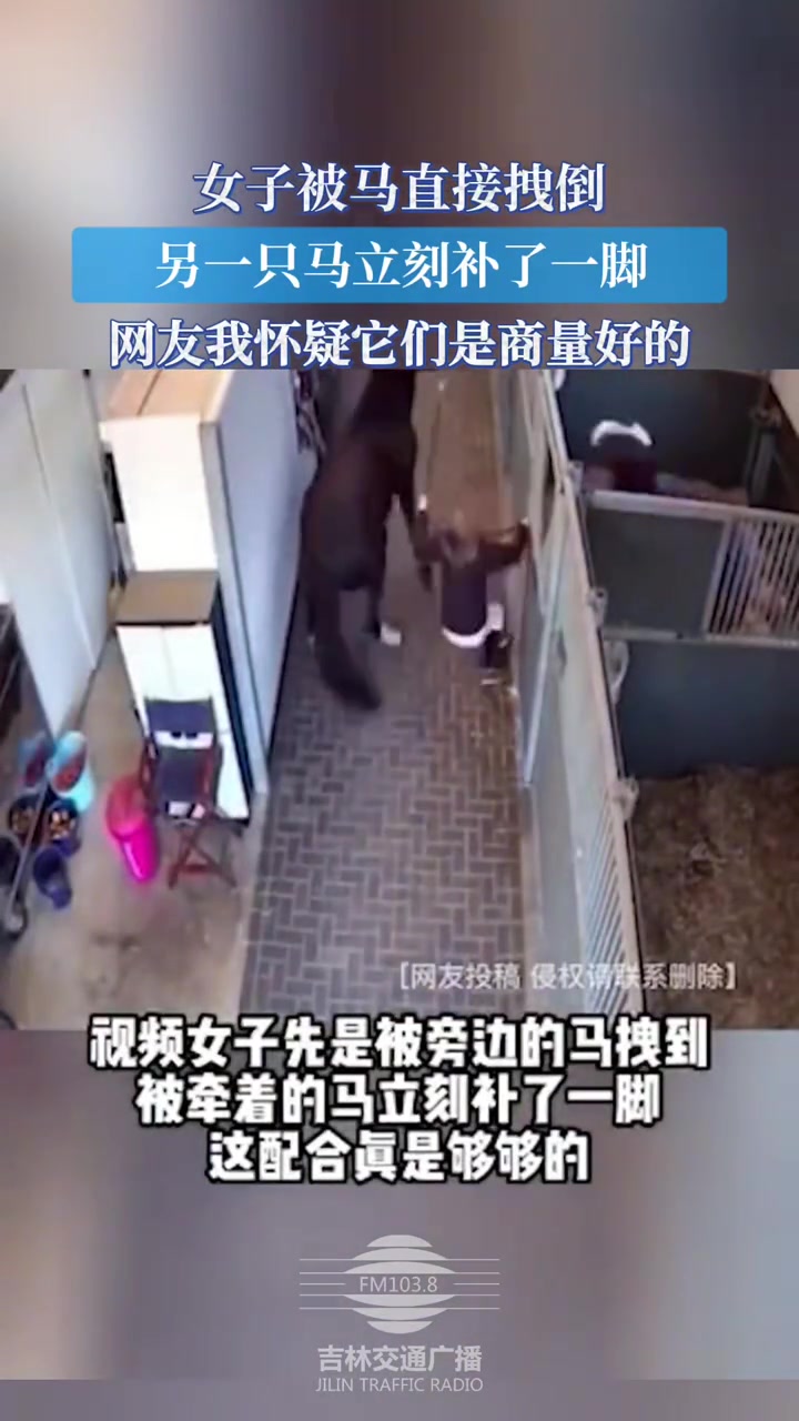 女子被马直接拽倒，另一只马立刻补了一脚
