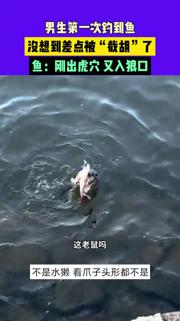 男生第一次钓到鱼，没想到差点被“截胡”了