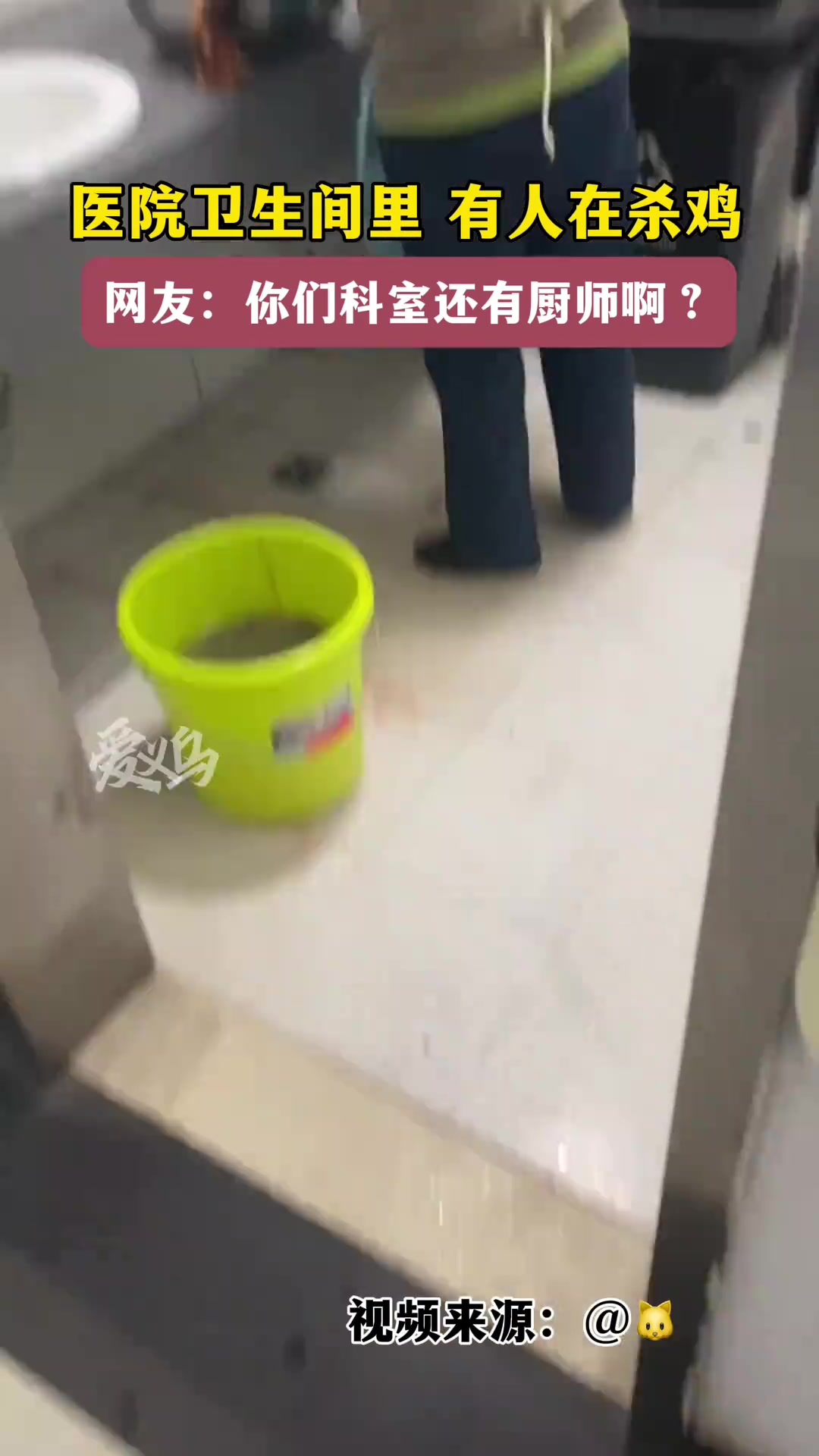 病人家属在医院卫生间杀鸡