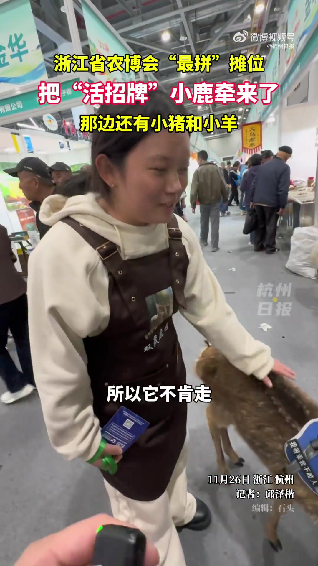 浙江省农博会“最拼”摊位，把“活招牌”小鹿都牵来了！