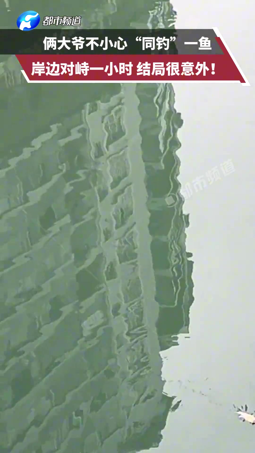 俩大爷不小心“同钓”一鱼，岸边对峙一小时结局很意外