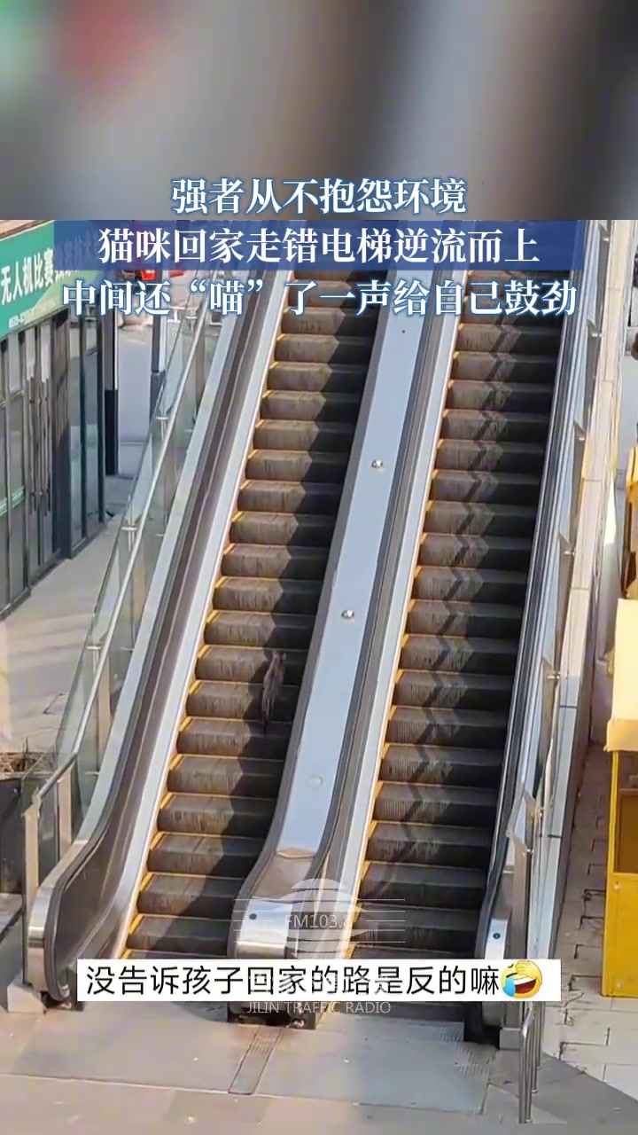 强者从不抱怨环境