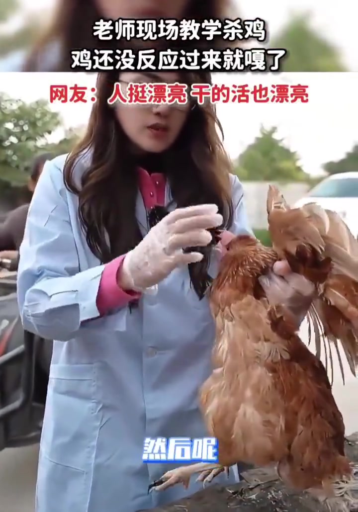 老师现场教学杀鸡
