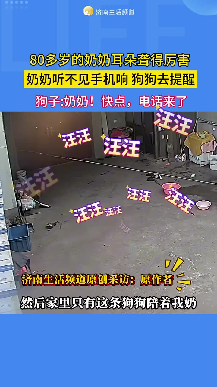 奶奶耳聋得厉害，孩子给打电话奶奶听不见狗狗去提醒奶奶接电话