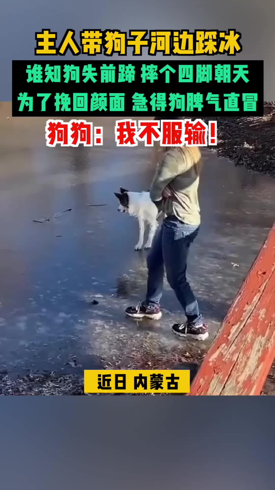 看它抓地，心里这个刺挠啊！
