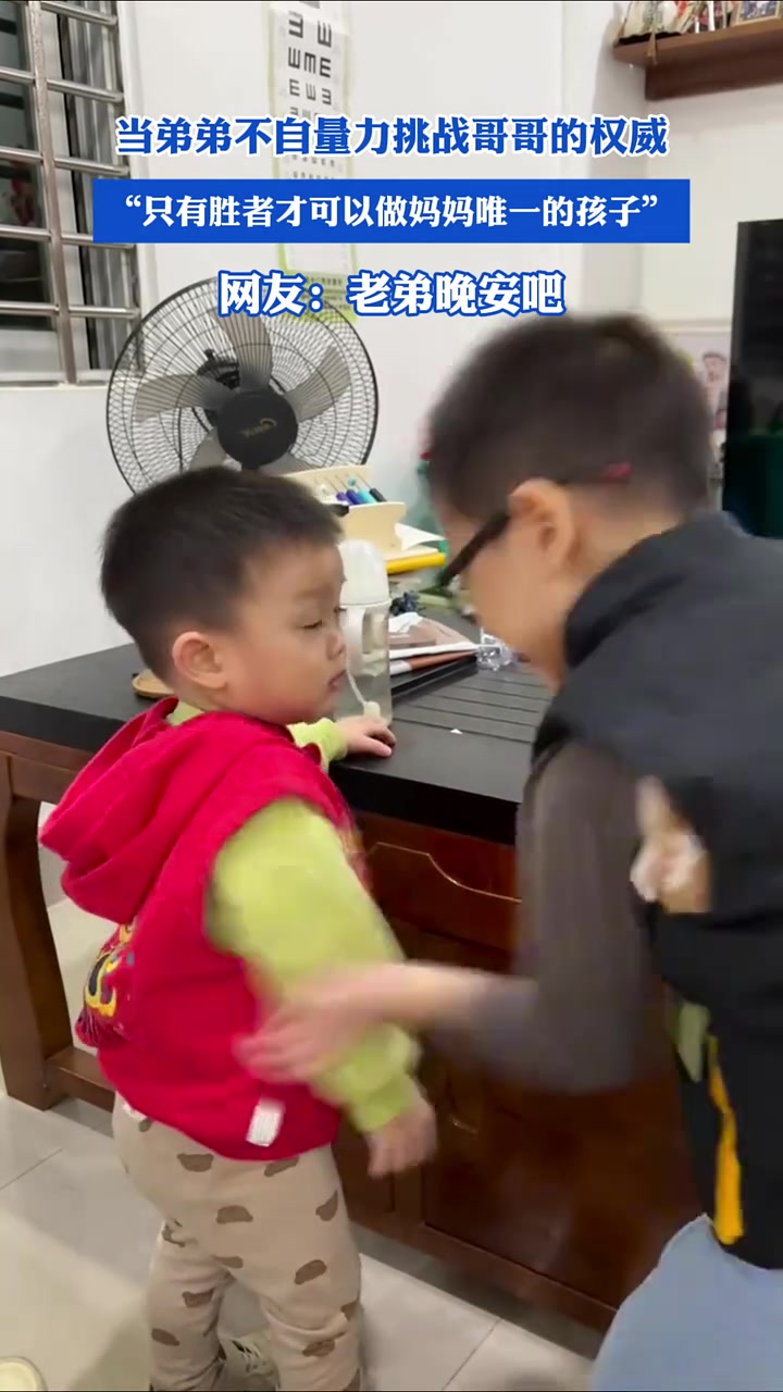 当弟弟不自量力挑战哥哥的权威
