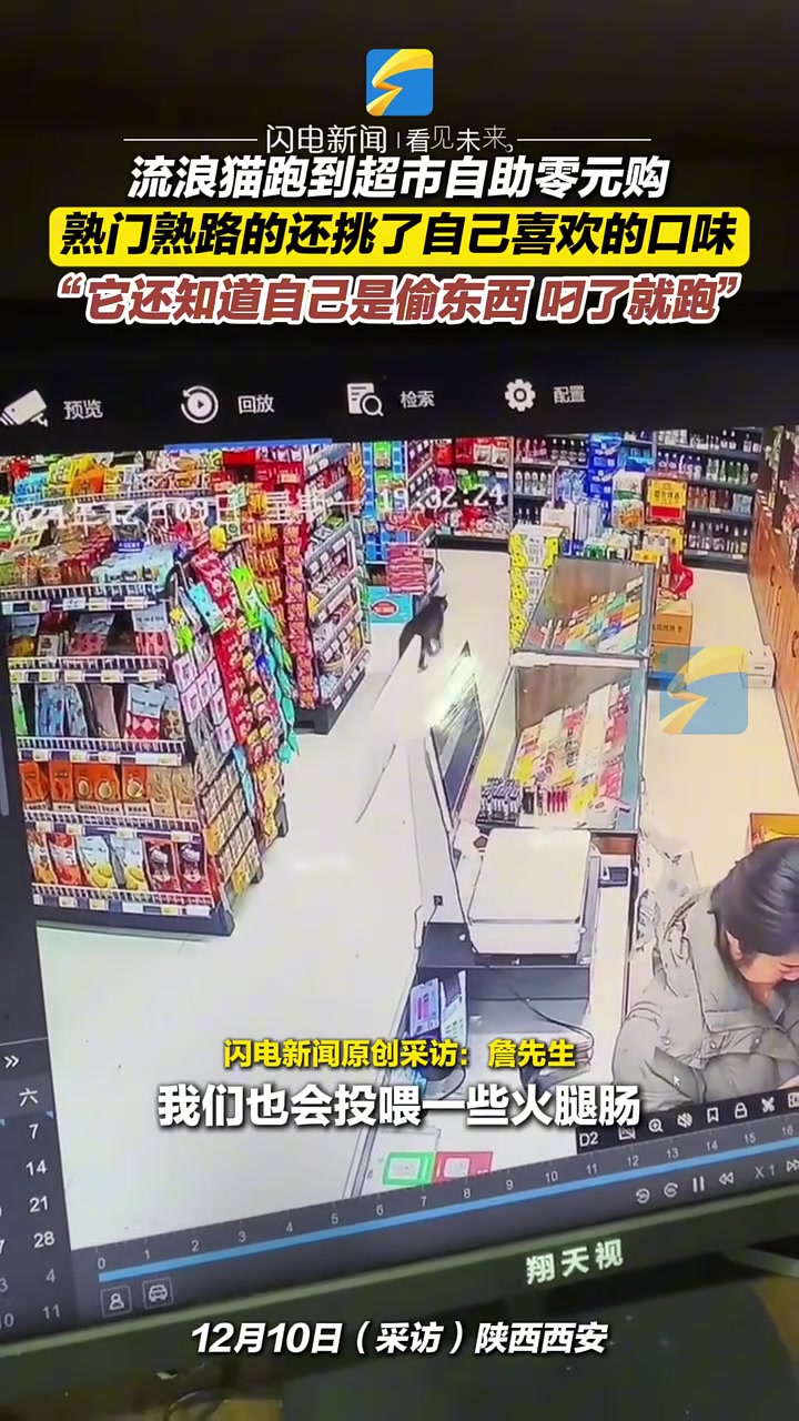 流浪猫跑到超市自助零元购熟门熟路的还挑了自己喜欢的口味