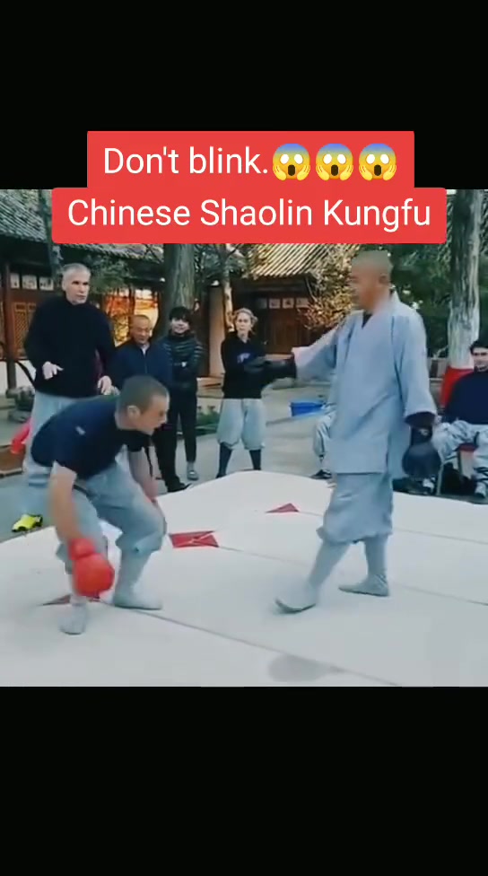 天下武功唯快不破！连反应的机会都没有！