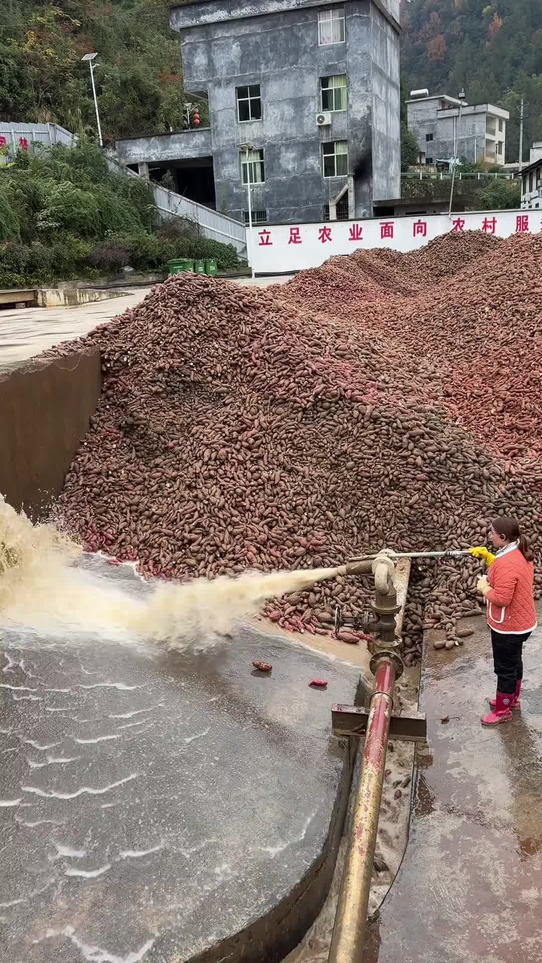 这个工作可以，不用脑，还解压啊！