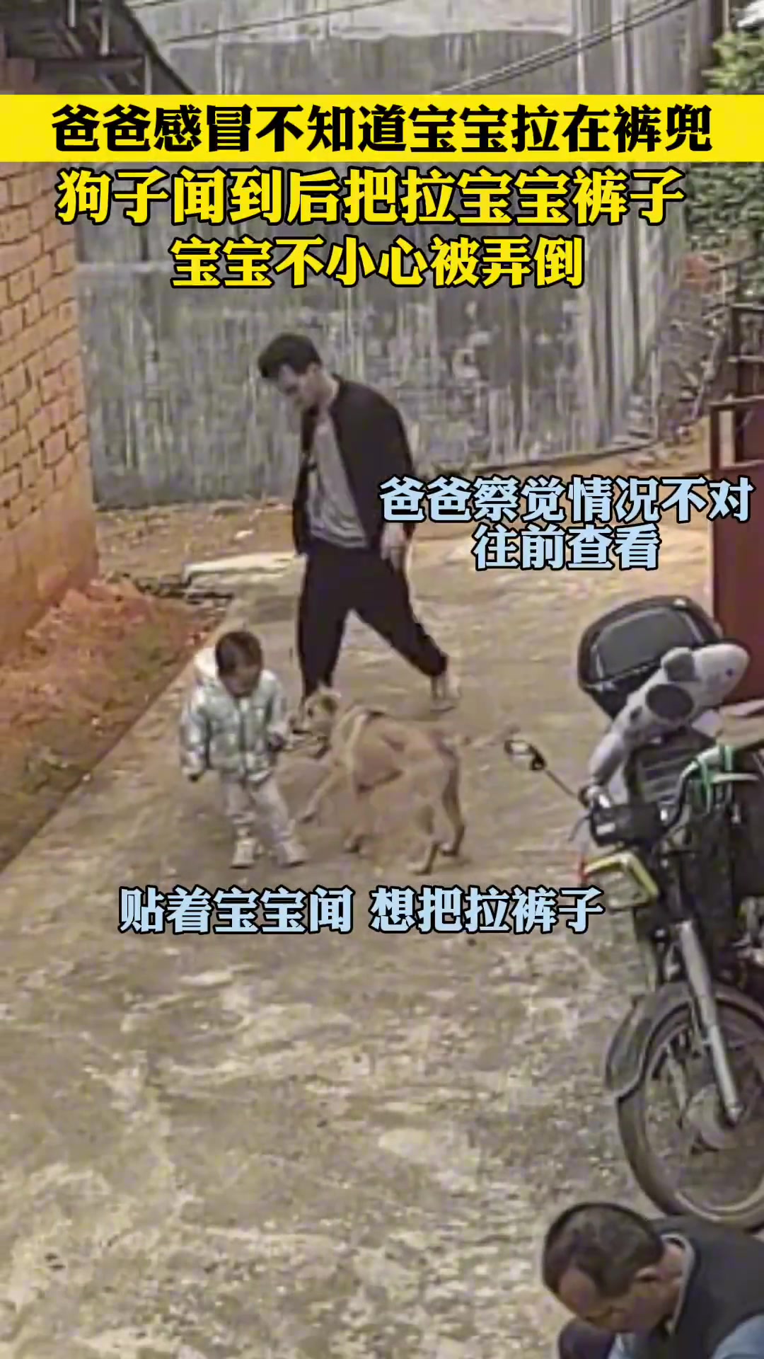 宝宝不小心拉裤里！狗：来自助餐拉！太新鲜拉！