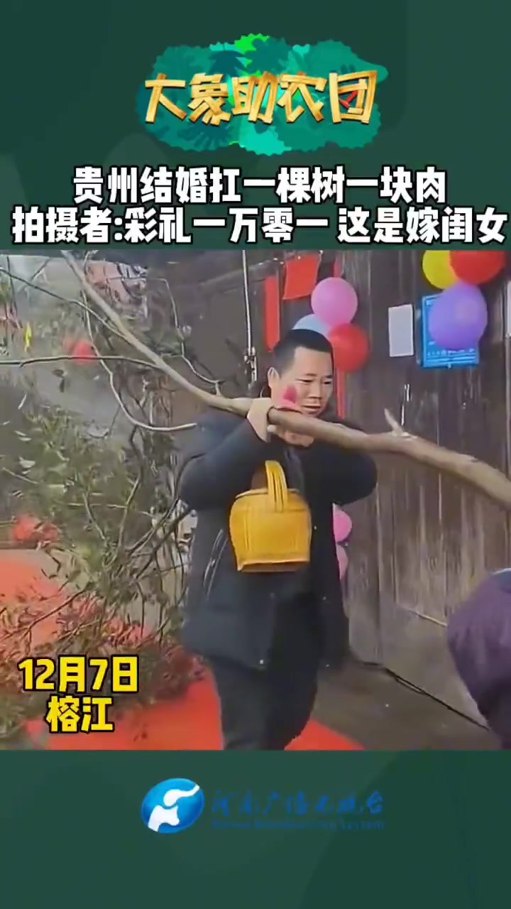 贵州结婚扛一棵树一块肉拍摄者：彩礼一万零一这是嫁闺女