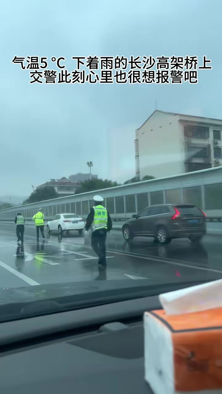 早高峰时期，长沙高架惊现5匹马交警秒变“牧马人”