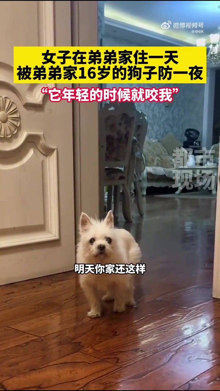 顶级盯防！女子住弟弟家，被弟弟家16岁的狗子防一夜！