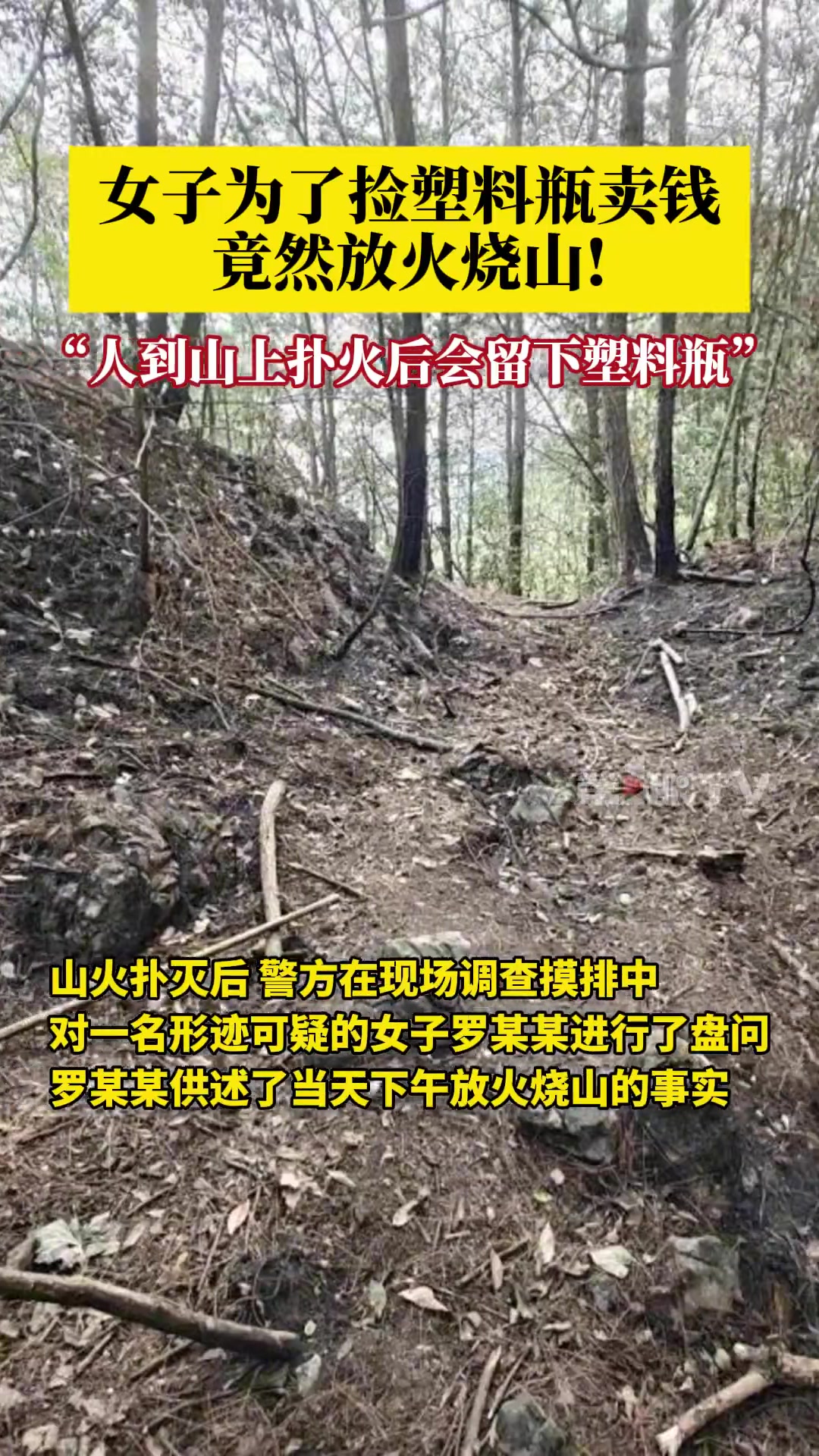 防火烧山女子为捡塑料瓶卖钱竟放火烧山