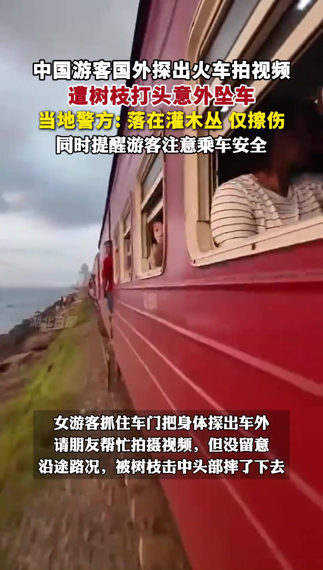 中国游客国外探出火车拍视频，遭树枝打头意外坠车