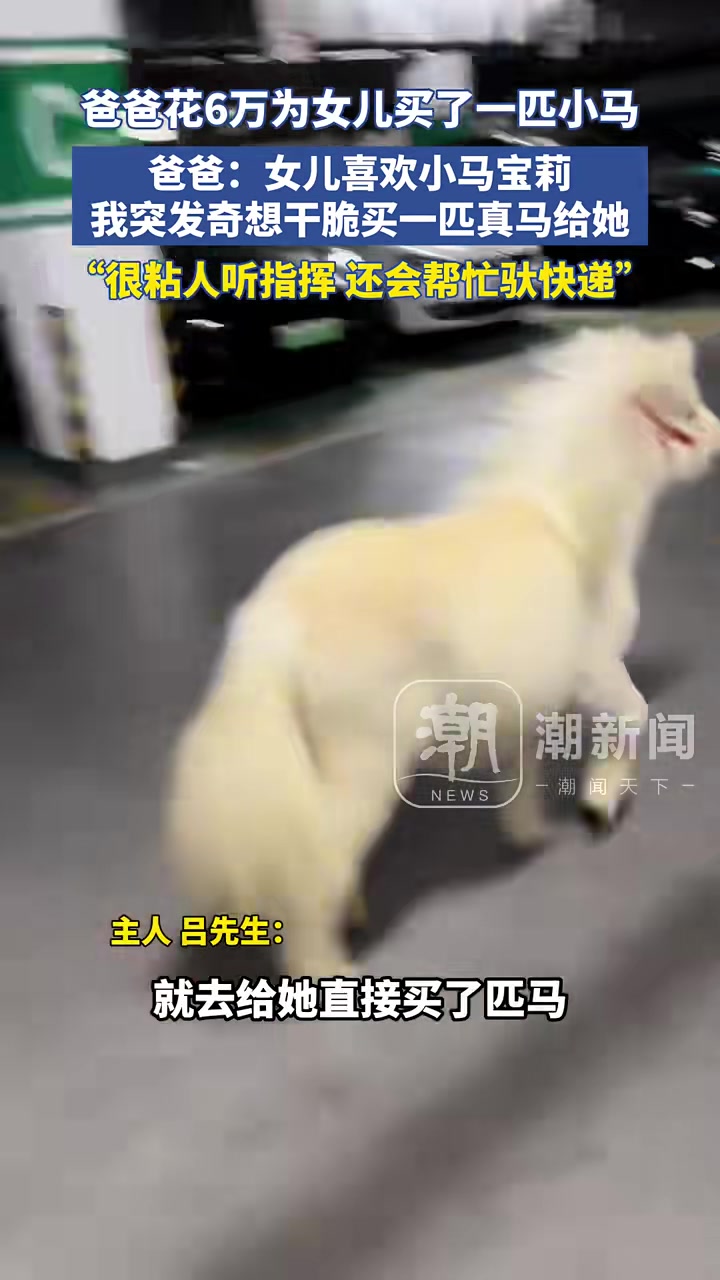 爸爸花6万给女儿买了一匹小马爸爸：因为女儿喜欢小马宝莉