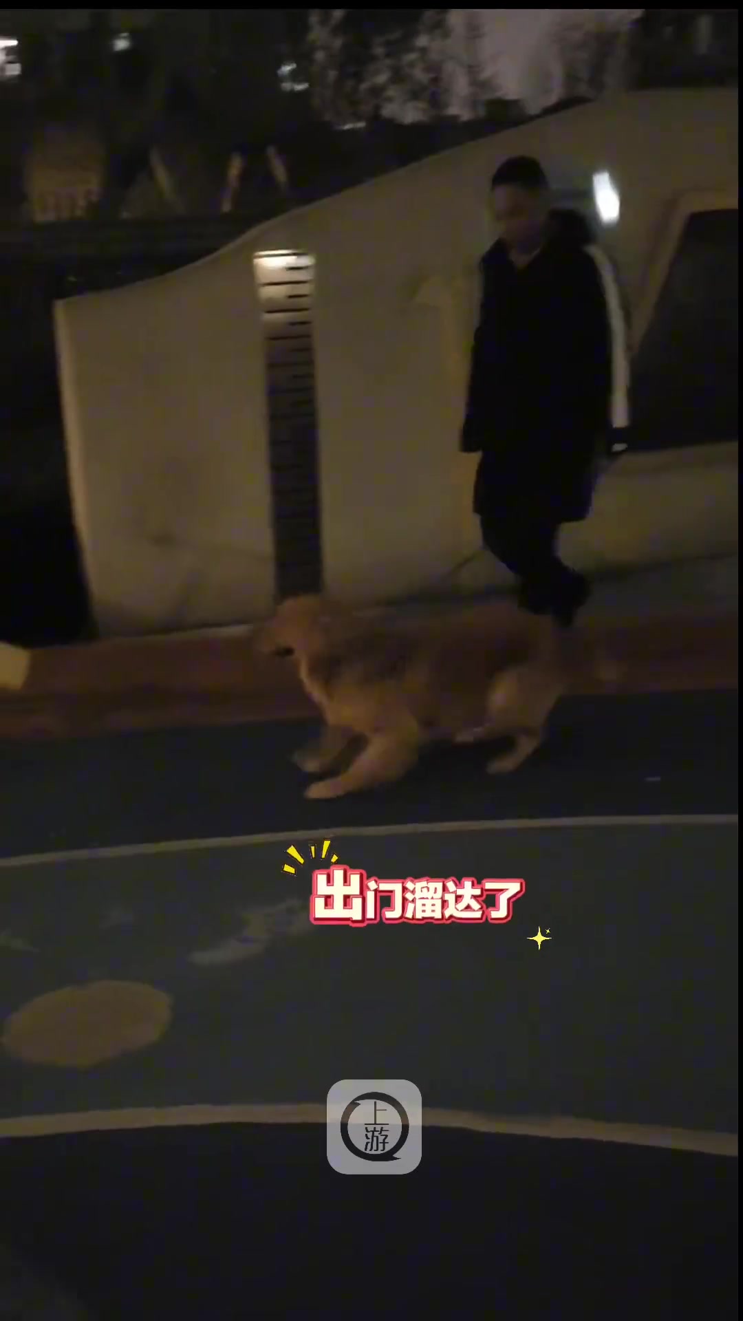 主人每天带狗子到小区遛弯，激动奔向小鸟摇摇乐“手舞足蹈”