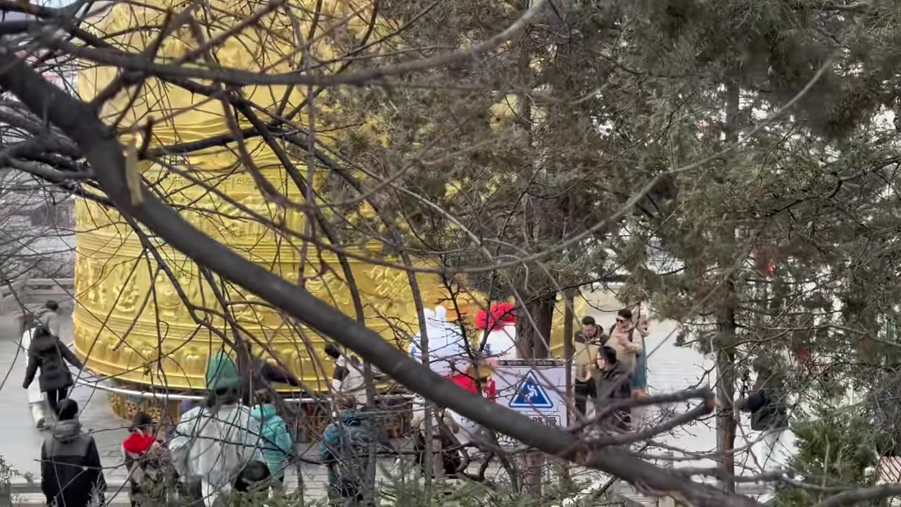 简直不敢相信我的眼睛我在香格里拉看到了什么