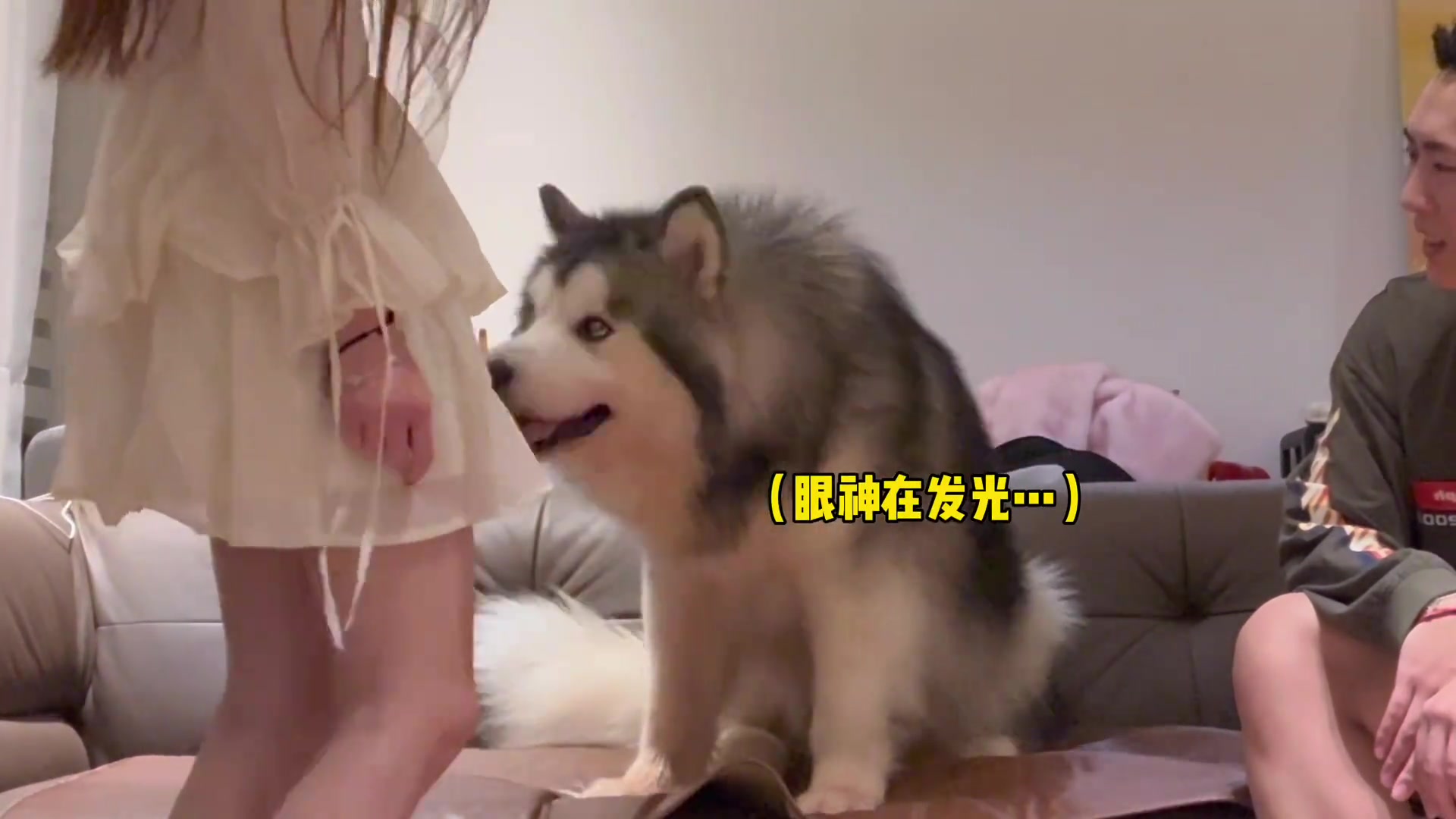 妈咪的情绪价值是给足了那爹呢！