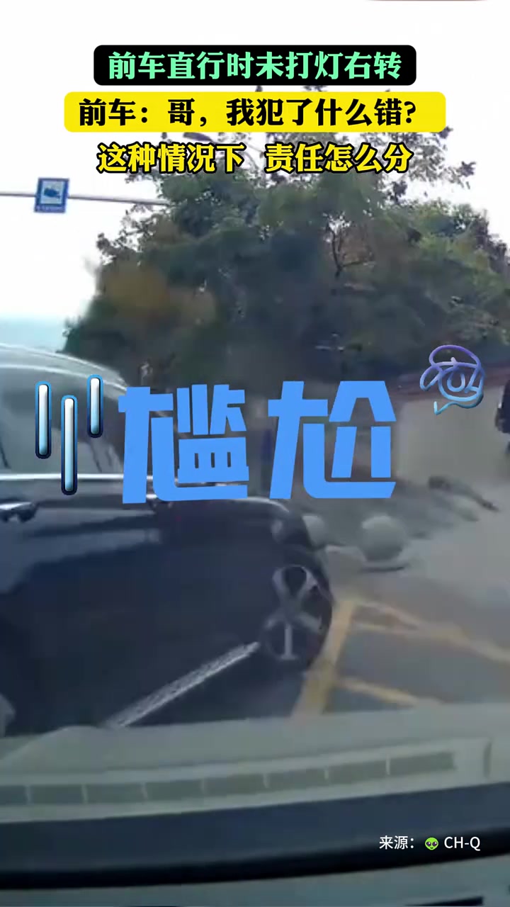 前车直行时未打右转灯突然右转，被后车撞上，责任怎么分