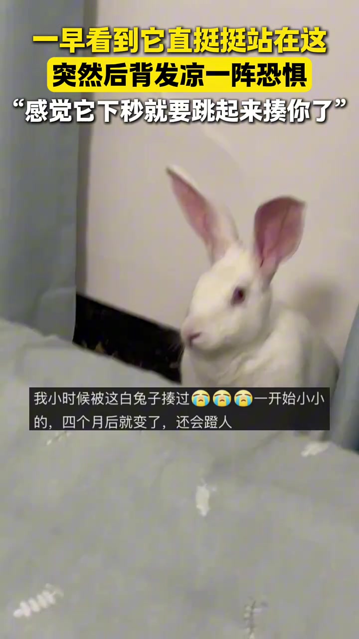 顿时一股恐惧感袭来网友：感觉它下秒就要跳起来揍你了！