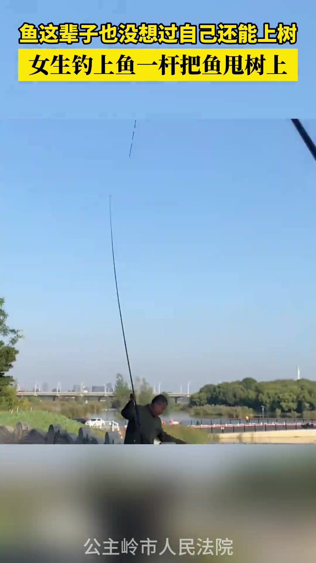 鱼这辈子也没想过自己还能上树，女生钓上鱼一杆把鱼甩树上