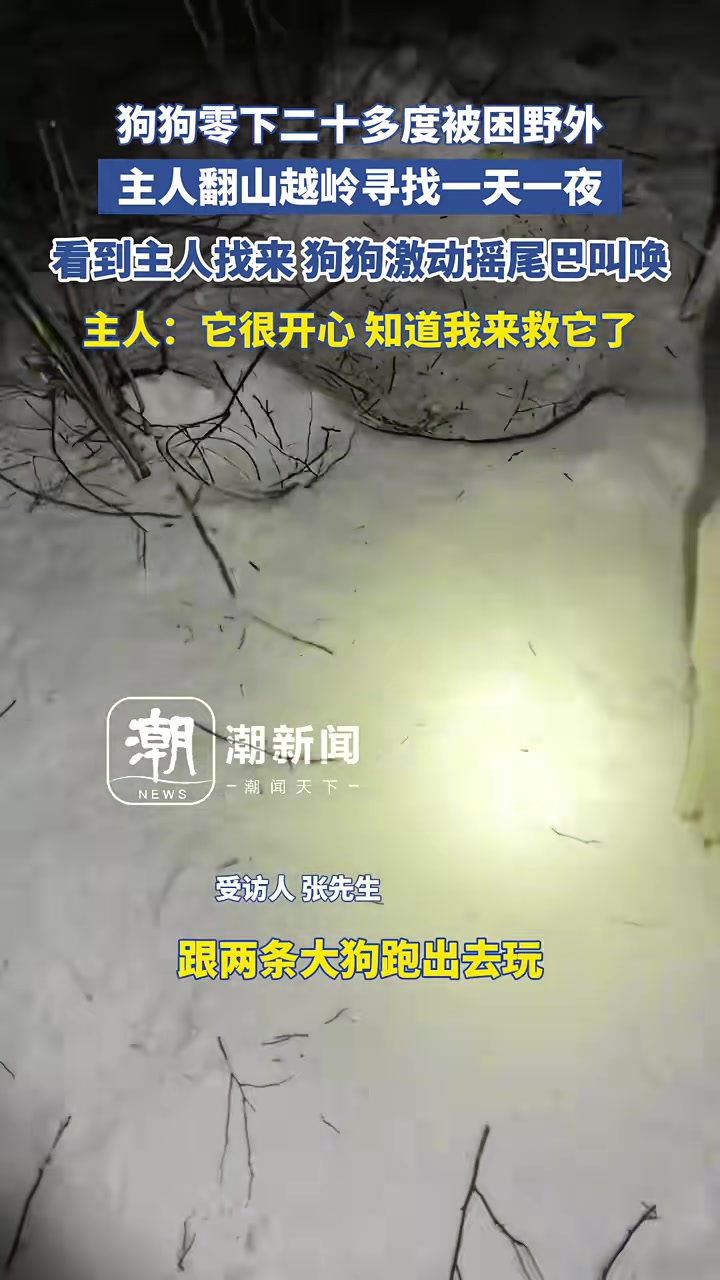 狗狗零下二十多度被困野外，主人翻山越岭寻找一天一夜