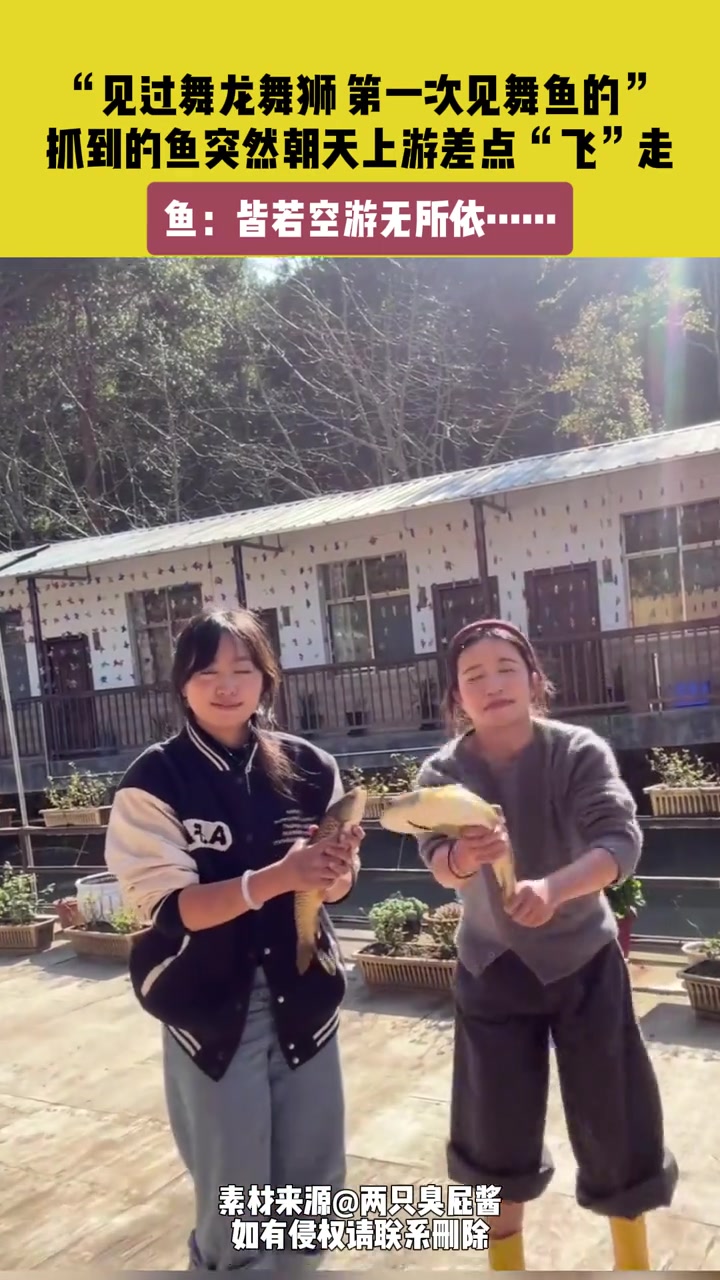 见过舞龙舞狮，第一次见舞鱼的！！！