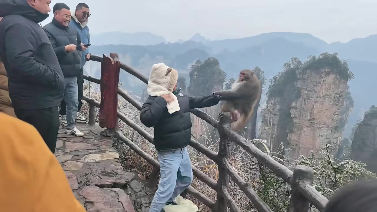 太爽了！第一次见人单挑赢了猴子的！！！