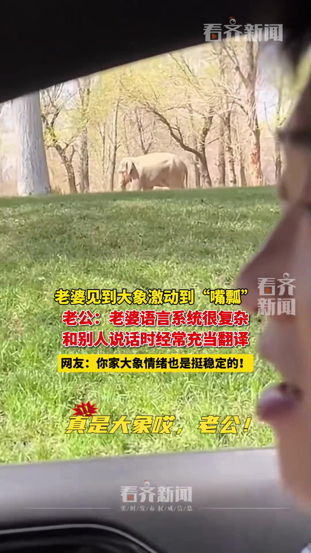 女生见到大象激动到“嘴瓢”叫老公