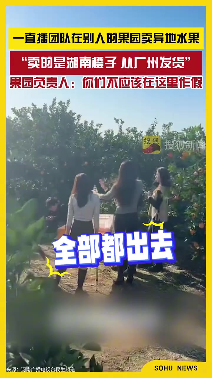 直播团队在别人的果园卖异地水果，“卖的是湖南橙子，从广州发货
