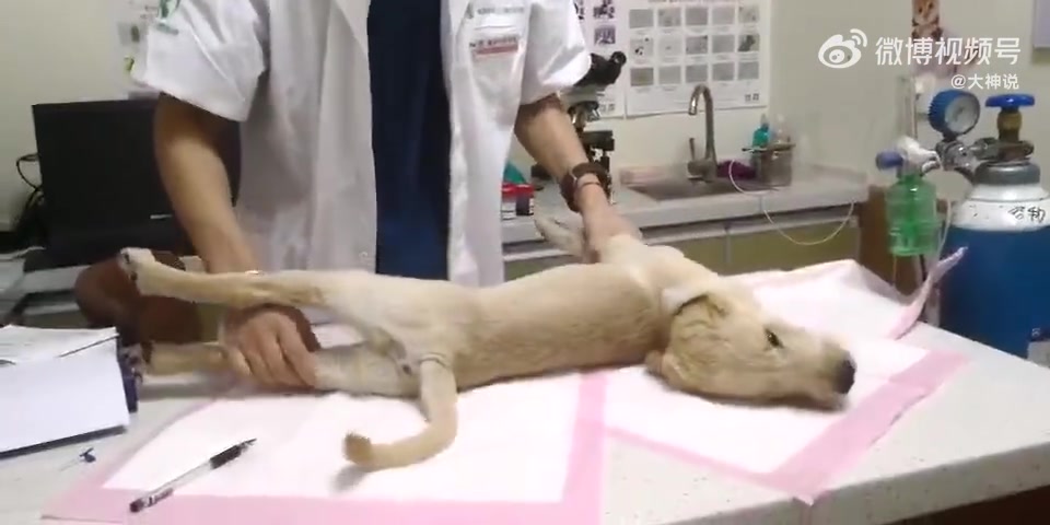 我妈说玩手机玩的