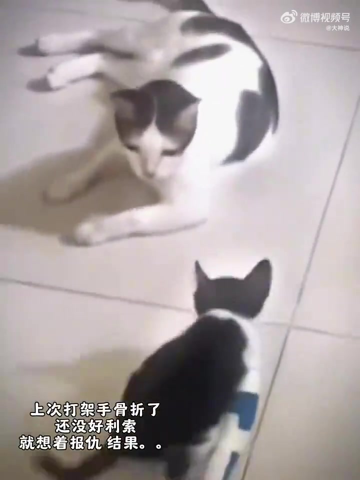 伤疤没好就忘了疼