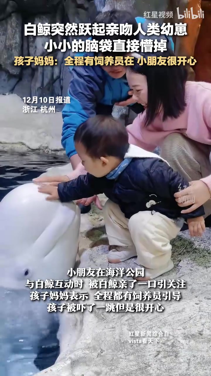 白鲸突然跃起亲吻人类幼崽小小的脑袋直接懵掉