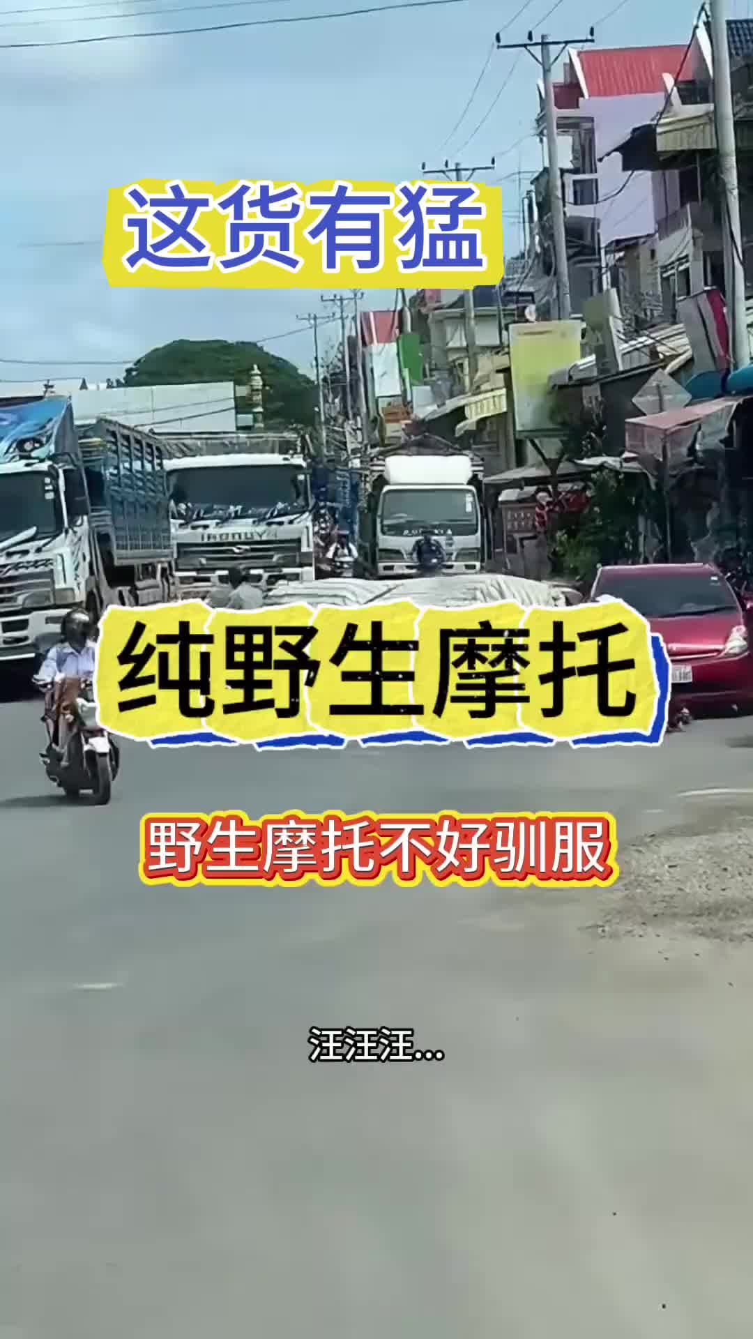 野生摩托车，驾驶员正在驯服！
