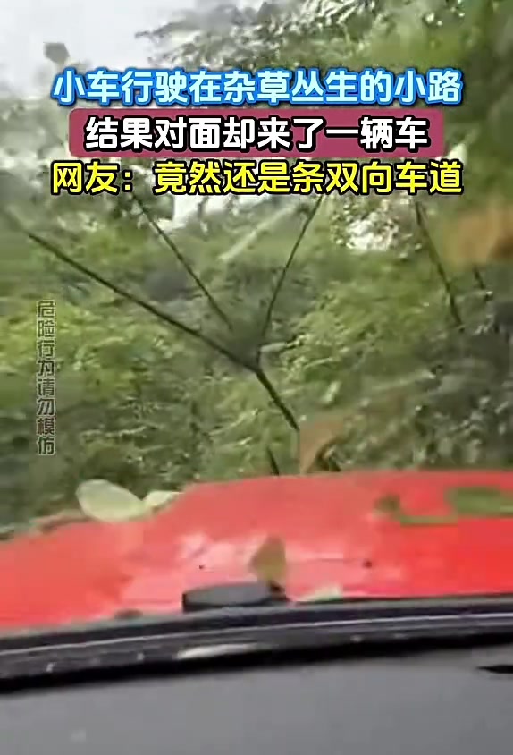 小车行驶在杂草丛生的小路结果对面却来了一辆车