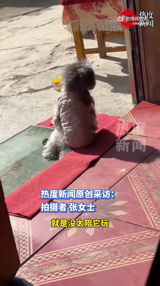女子工作是发现门口有人晒太阳，仔细一看原来是自家的狗狗