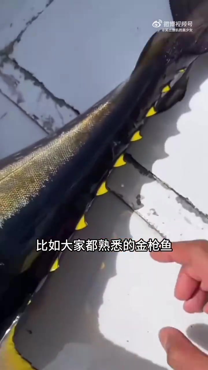 原来很多海洋生物都有隐藏的小机关