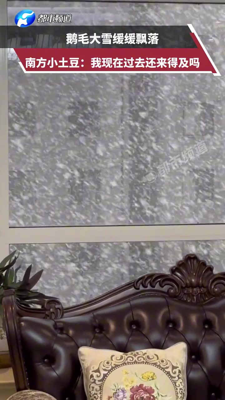 鹅毛大雪缓缓飘落，南方小土豆：我现在过去还来得及吗
