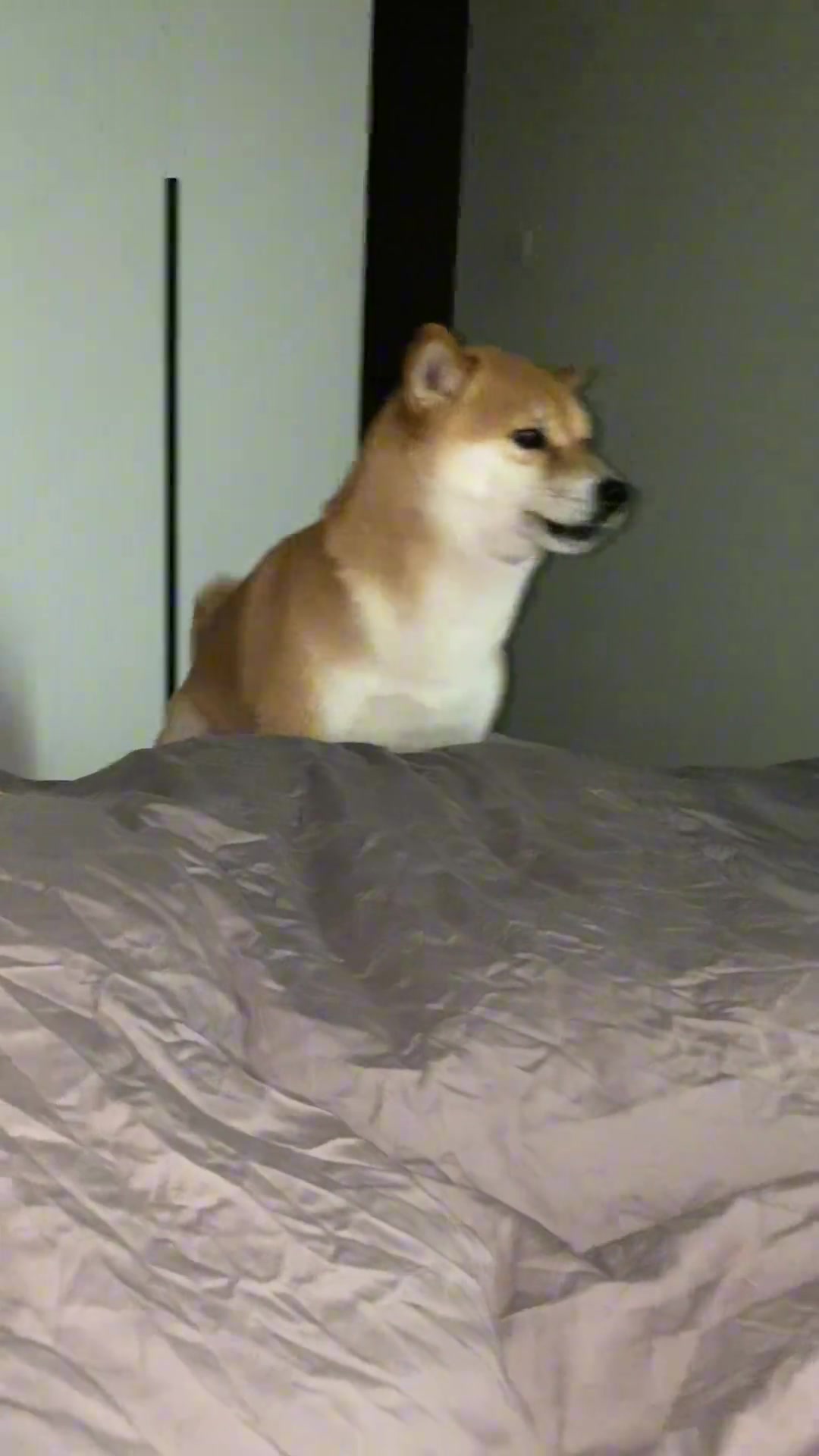 大半夜的你有什么重要的事要出门我请问