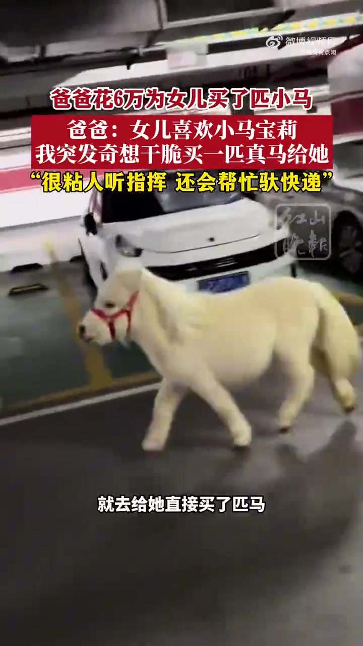 这个小马会长大不