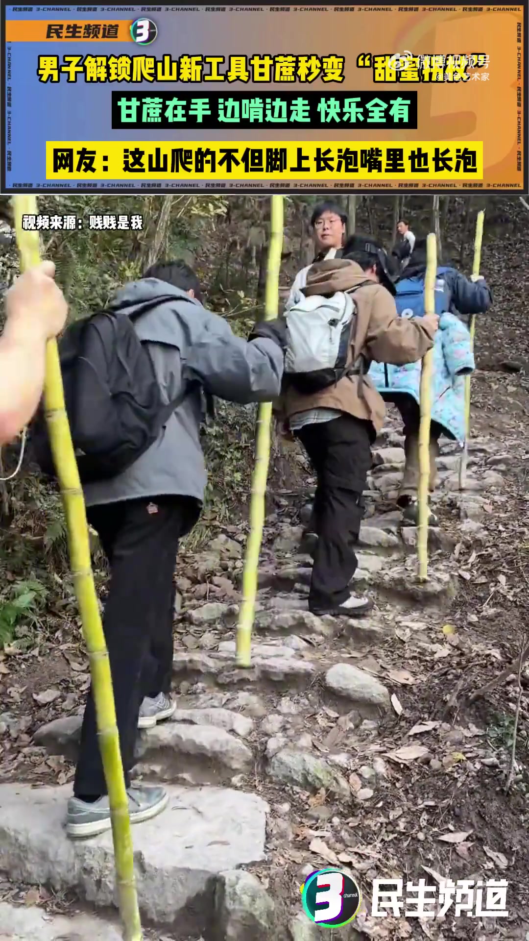 男子用甘蔗当“甜蜜拐杖”爬山，边啃边走乐趣多