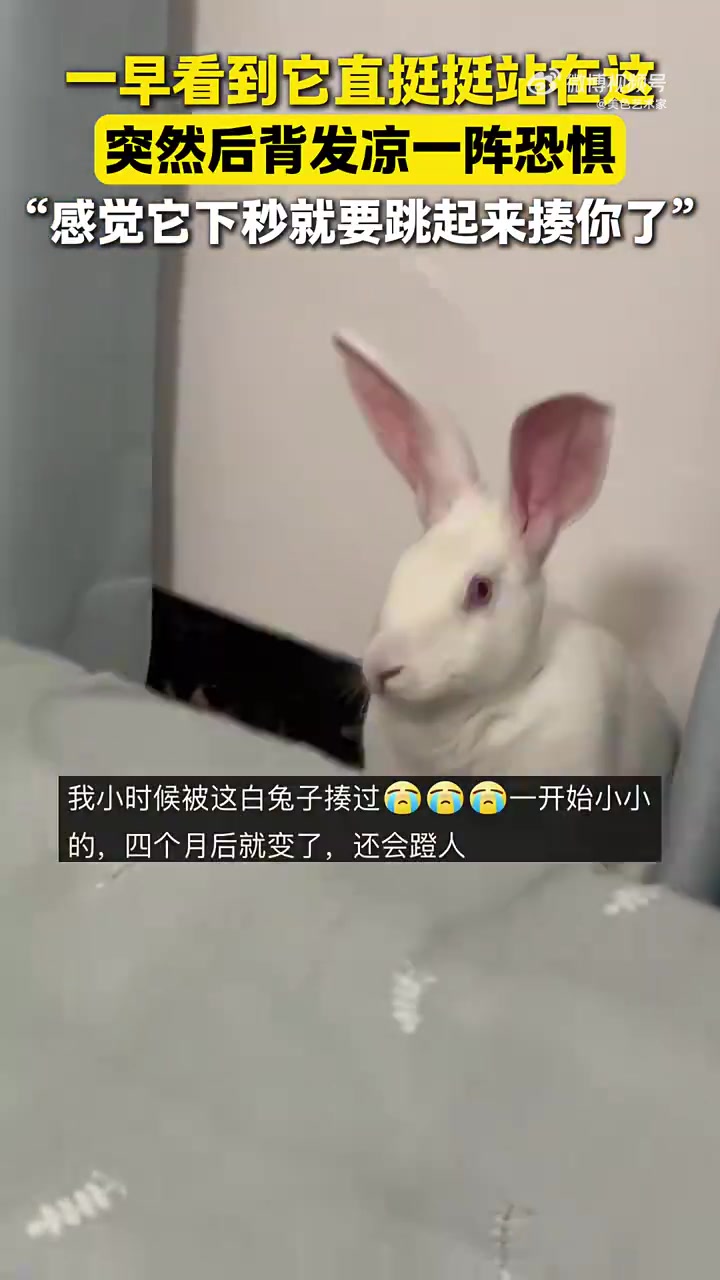 一早见它直挺挺站着，顿生恐惧，网友：下秒像要跳起来揍人