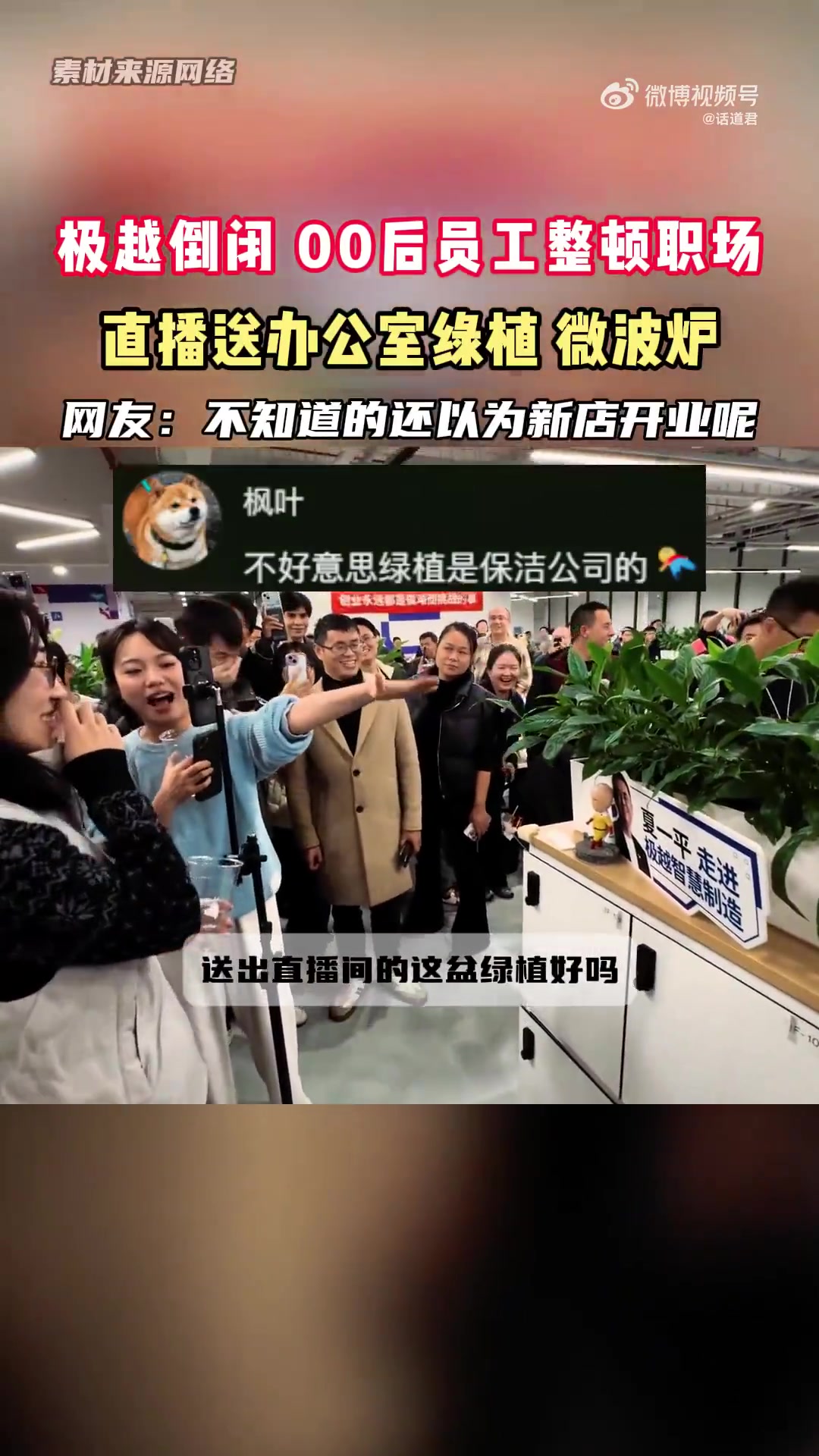 极越公司倒闭还得是00后来整顿职场啊