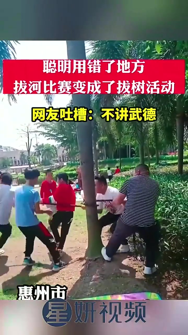 拔河比赛变成了拔树比赛，网友吐槽：不讲武德！