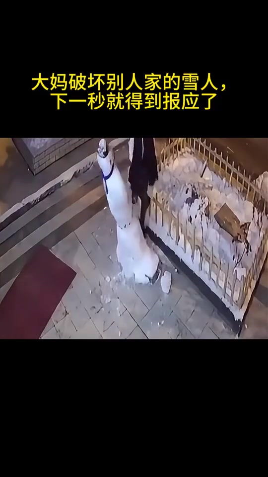 大妈破坏别人家的雪人，下一秒就得到报应了！！！