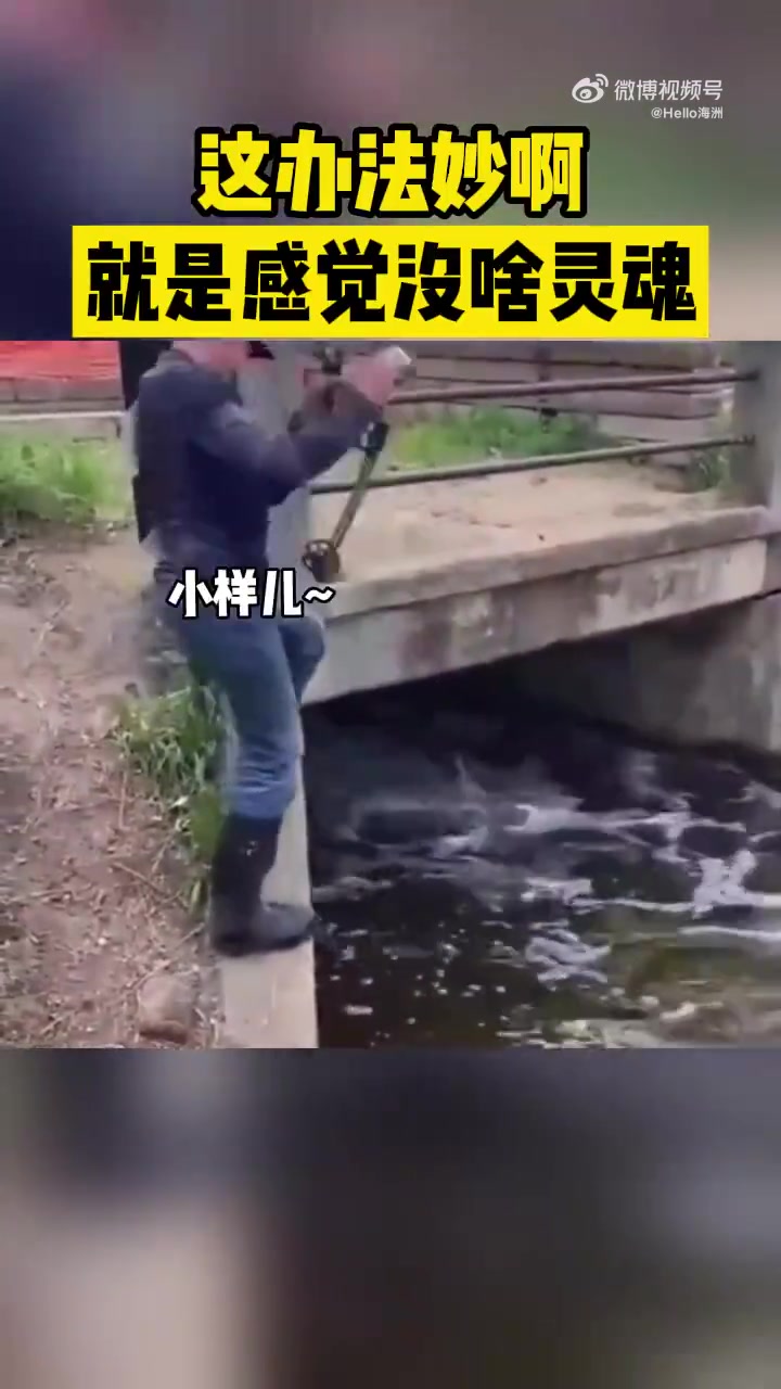 这办法妙啊！就是感觉没啥灵魂