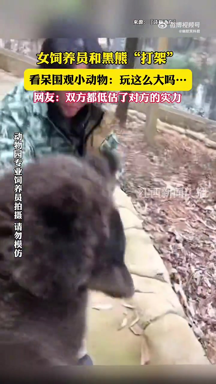 女饲养员和黑熊“打架”，看呆围观小动物玩这么大吗
